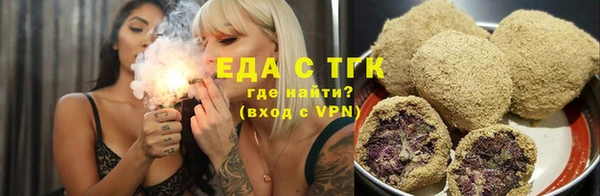 индика Волоколамск