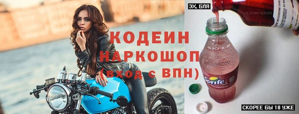 индика Волоколамск
