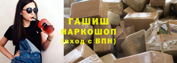 индика Волоколамск