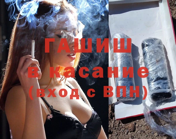 индика Волоколамск